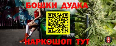 амф Шебекино