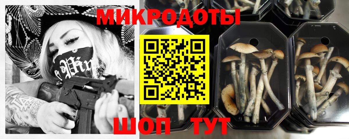 Псилоцибиновые грибы Psilocybe Конаково