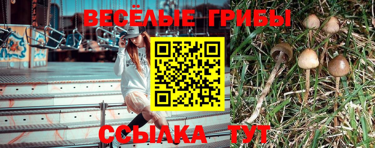 наркошоп  Вход с VPN  Конаково  Галлюциногенные грибы Psilocybine cubensis  Псилоцибиновые грибы MAGIC MUSHROOMS 